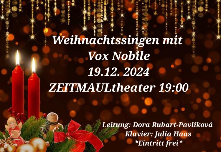 Ankündigungsplakat "Vox nobile" (ZEITMAUL-Theater Bochum)